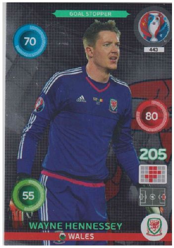 Adrenalyn Euro 2016 #443, Wayne Hennessey