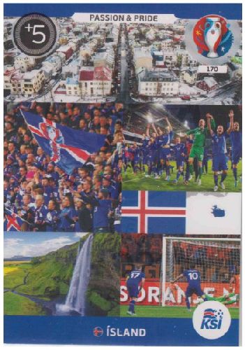 Adrenalyn Euro 2016 #170, Island