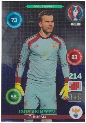 Adrenalyn Euro 2016 #317, Igor Akinfeev