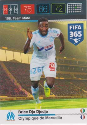 Adrenalyn FIFA 365 #108 Brice Dja Djedje