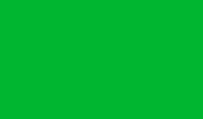 Spillemåtte (Playmat) - Basic Green (Grøn)