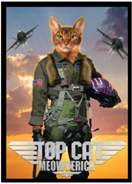 50 lommer - Movie Cats: Top Cat Meowverick - Double-Matte White Core Sleeves - Legion/Ultra Pro #LE16947